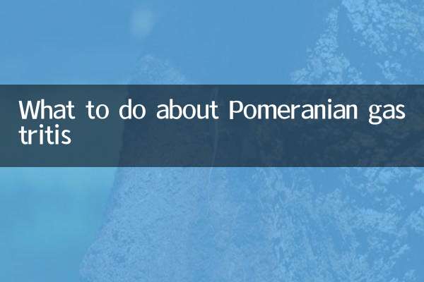 پومرانی گیسٹرائٹس کے بارے میں کیا کریں
