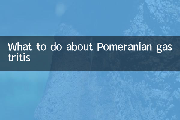 포메라니안 위염 어떻게 해야 할까요?