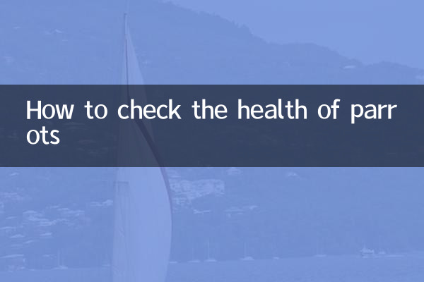 앵무새의 건강을 확인하는 방법