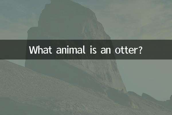 What animal is an otter?