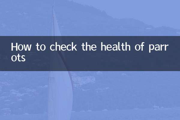 तोते के स्वास्थ्य की जांच कैसे करें?