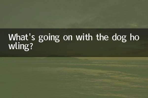 কুকুর চিৎকার দিয়ে কি হচ্ছে?