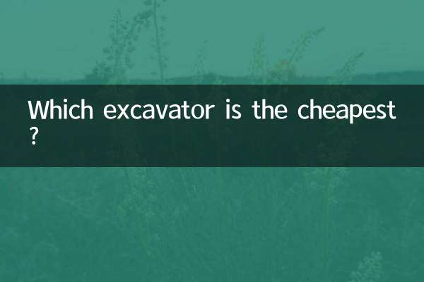 Welcher Bagger ist der günstigste?