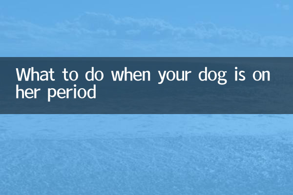 Cosa fare quando il tuo cane ha il ciclo mestruale