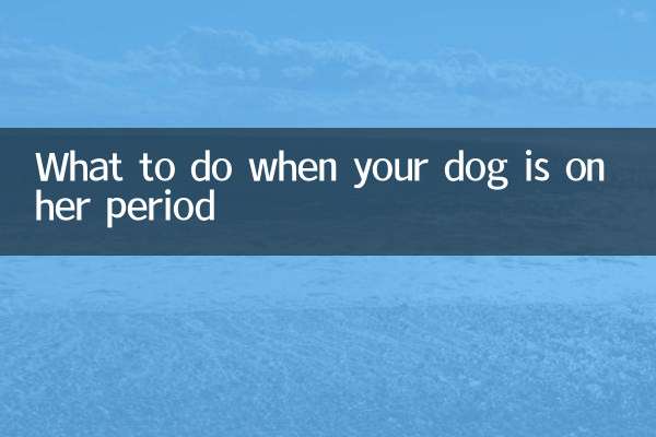 狗狗來例假怎麼處理
