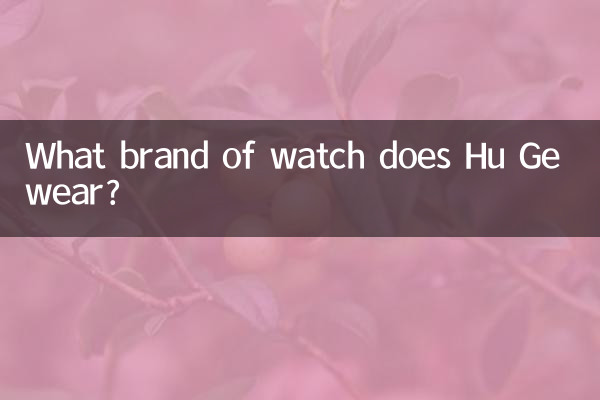 হু জি কোন ব্র্যান্ডের ঘড়ি পরে?