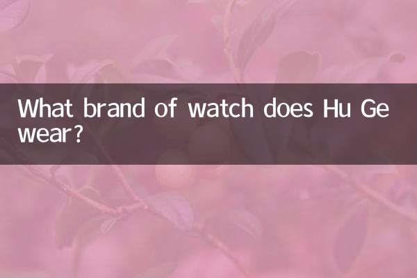 হু জি কোন ব্র্যান্ডের ঘড়ি পরে?