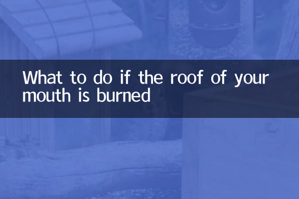 اگر آپ کے منہ کی چھت جل جائے تو کیا کریں