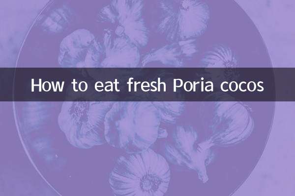 نحوه خوردن کوکو تازه پوریا