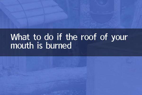 اگر سقف دهانتان سوخته است چه باید کرد؟