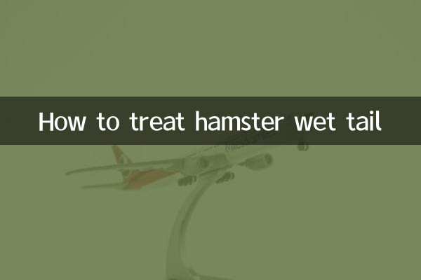 ハムスターの濡れた尻尾の対処法