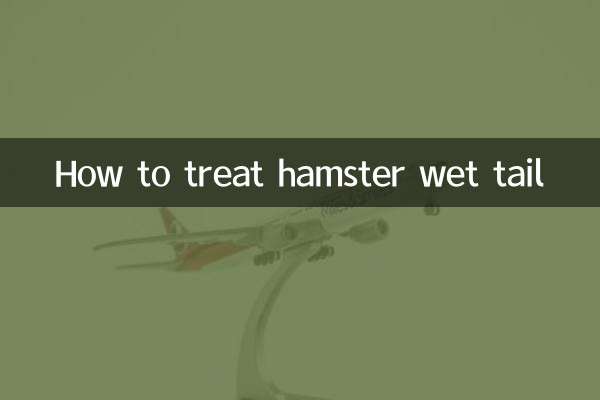 仓鼠湿尾怎么治