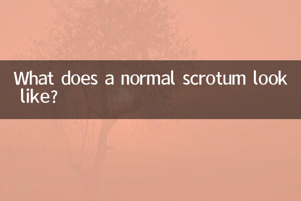 کیسه بیضه معمولی چگونه به نظر می رسد؟