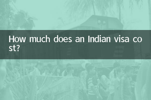 인도 비자 비용은 얼마입니까?