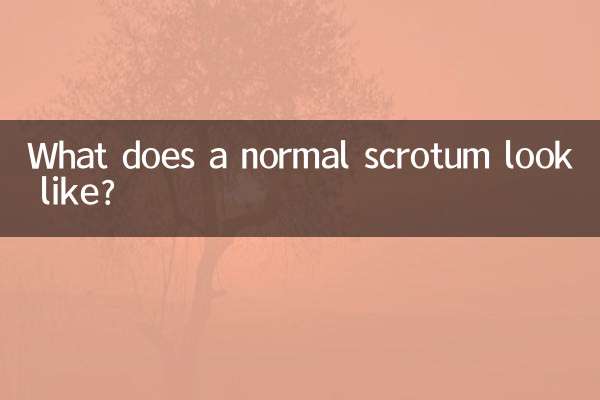 正常阴囊什么样