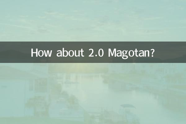 ¿Qué tal el Magotan 2.0?