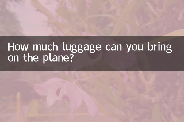 How much luggage can you bring on the plane?