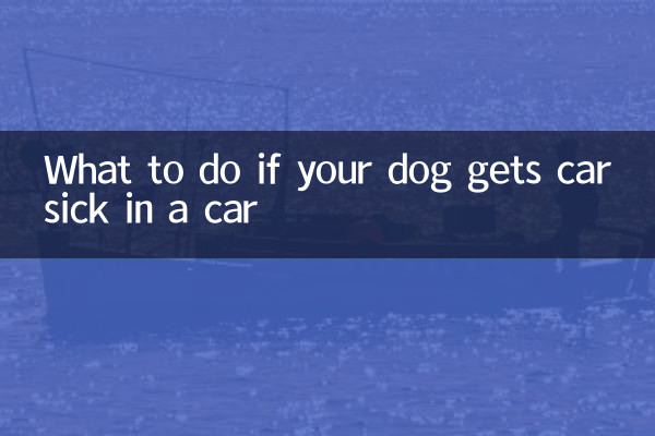 Что делать, если собаку укачало в машине