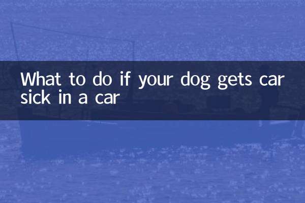 Cosa fare se il tuo cane soffre di mal d'auto in macchina