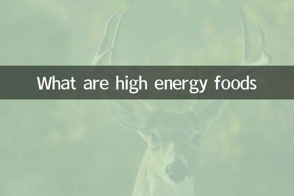 고에너지 식품이란?
