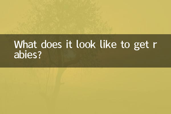 得狂犬病是怎麼樣的