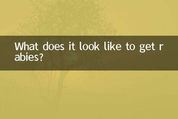 得狂犬病是怎麼樣的