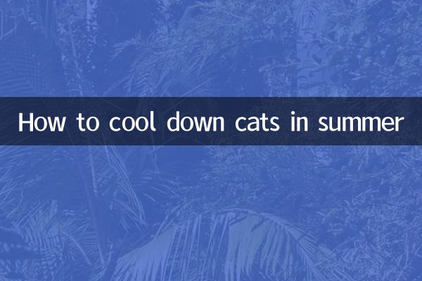 How to cool down cats in summer