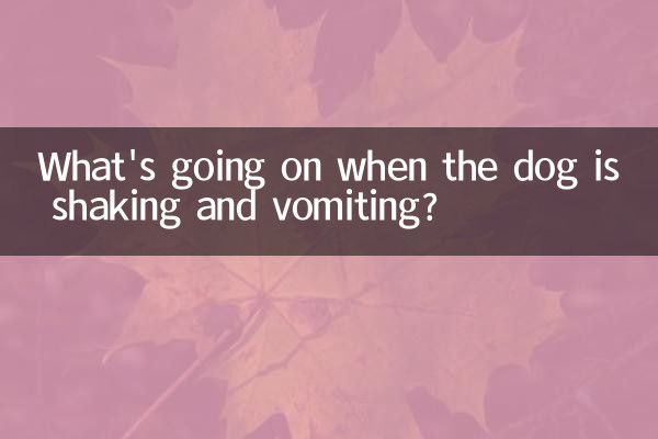 What's going on when the dog is shaking and vomiting?