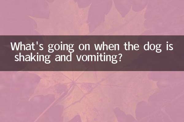 What's going on when the dog is shaking and vomiting?