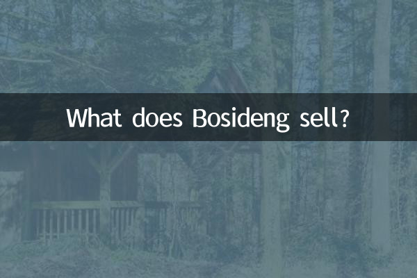 ¿Qué vende Bosideng?