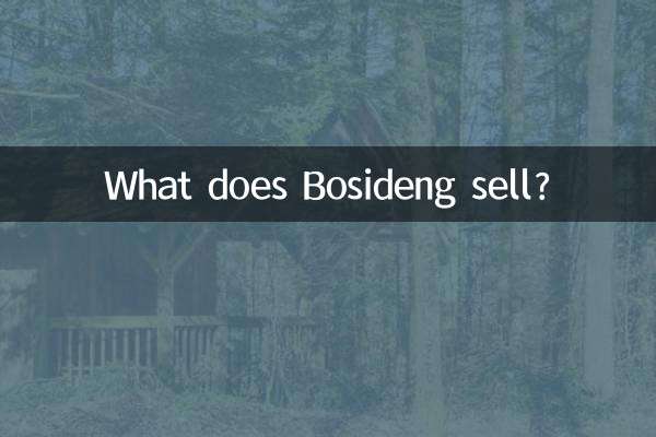 ¿Qué vende Bosideng?