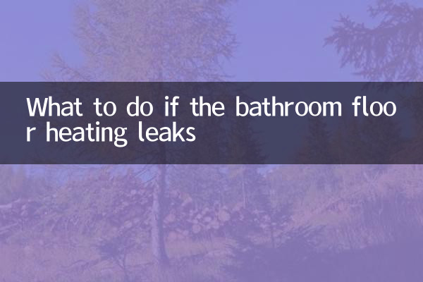 卫生间地暖漏水怎么办