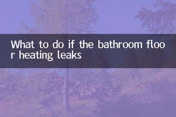 衛生間地暖漏水怎麼辦