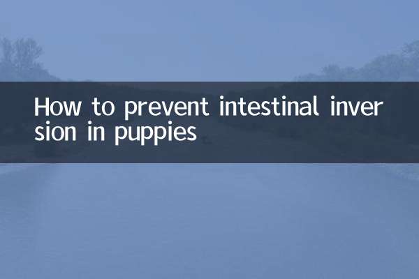 How to prevent intestinal inversion in puppies