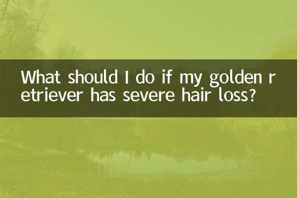 Что делать, если у моего золотистого ретривера сильное выпадение шерсти?