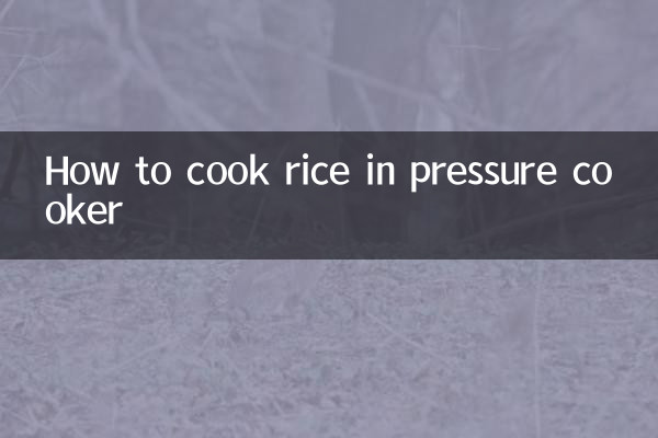 Wie man Reis im Schnellkochtopf kocht