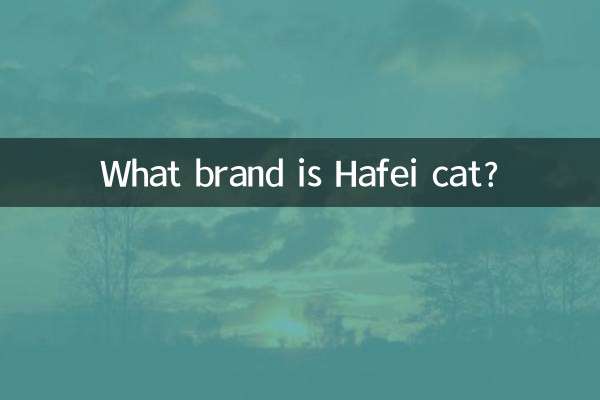 하페이캣은 어떤 브랜드인가요?