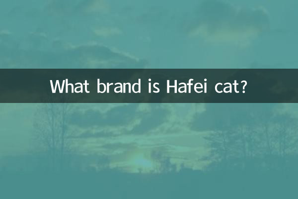 하페이캣은 어떤 브랜드인가요?