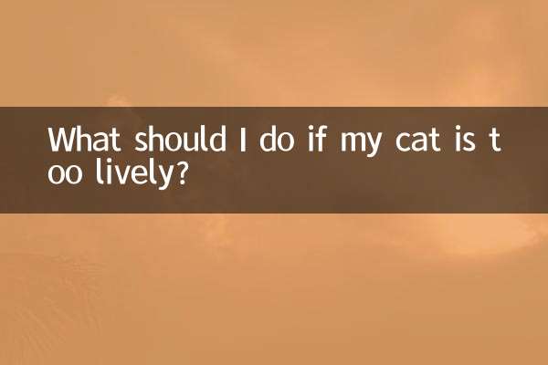 اگر گربه من خیلی پر جنب و جوش است چه کار کنم؟