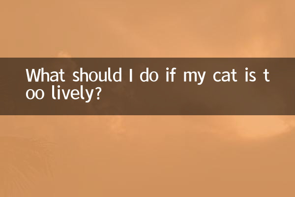 اگر گربه من خیلی پر جنب و جوش است چه کار کنم؟