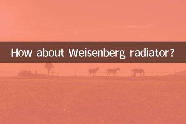 رادیاتور وایزنبرگ چطور؟