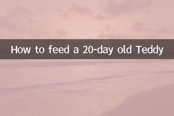 二十天的泰迪怎么喂养