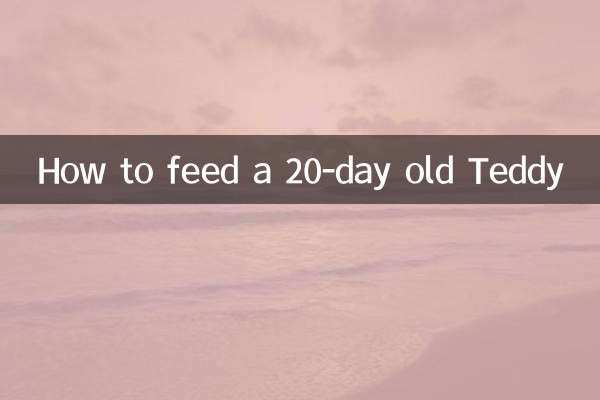 二十天的泰迪怎么喂养