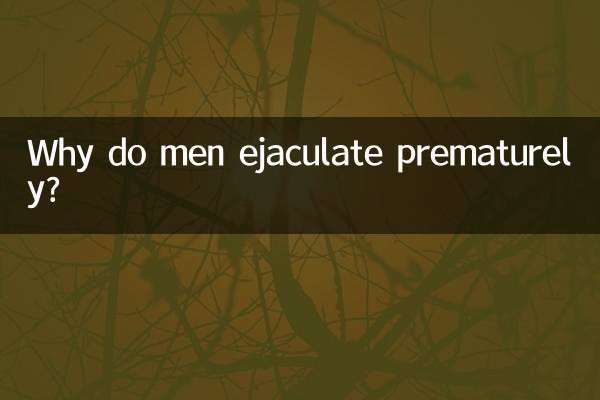 Warum ejakulieren Männer vorzeitig?