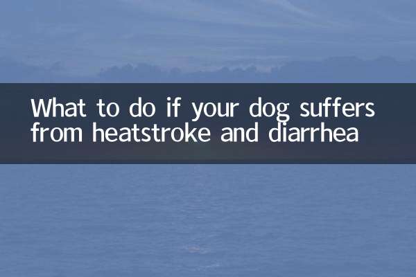 O que fazer se seu cachorro sofrer de insolação e diarréia