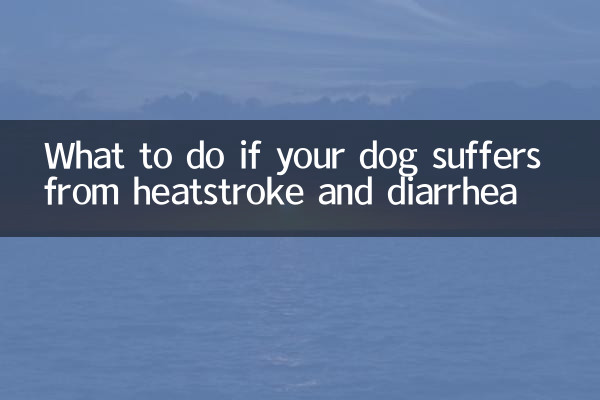 狗狗中暑拉稀怎麼辦