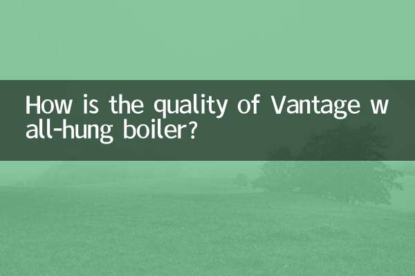ভ্যান্টেজ ওয়াল-হ্যাং বয়লারের গুণমান কেমন?