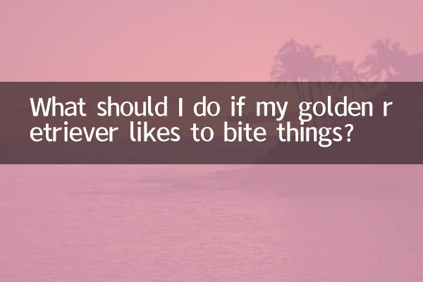 O que devo fazer se meu golden retriever gostar de morder coisas?