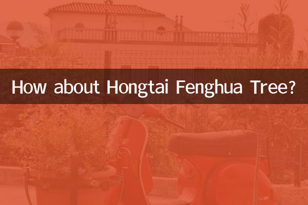ماذا عن شجرة هونغتاي فنغهوا؟
