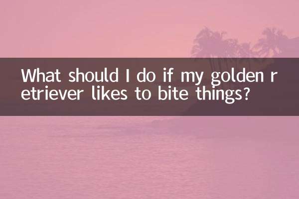 ゴールデンレトリバーが物を噛むのが好きな場合はどうすればよいですか?
